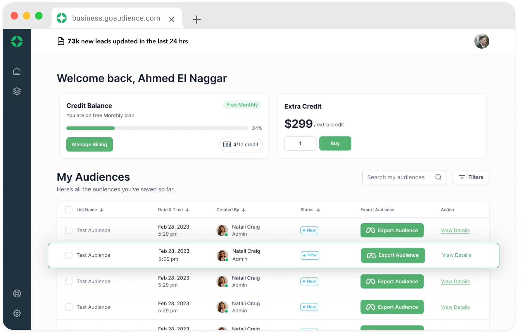 Detailed view of GoAudience’s user dashboard for managing audiences and credits